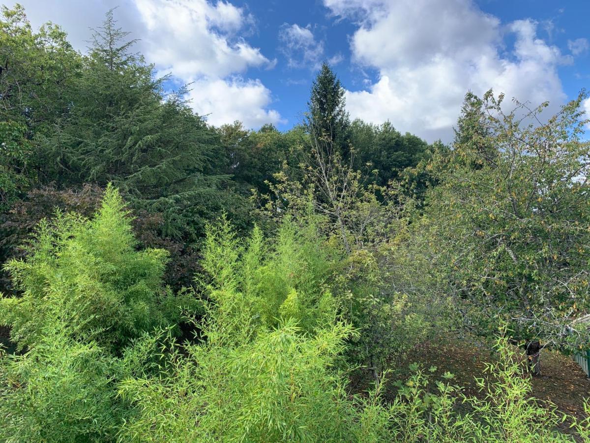 L'Albizia Daire Seigy Dış mekan fotoğraf